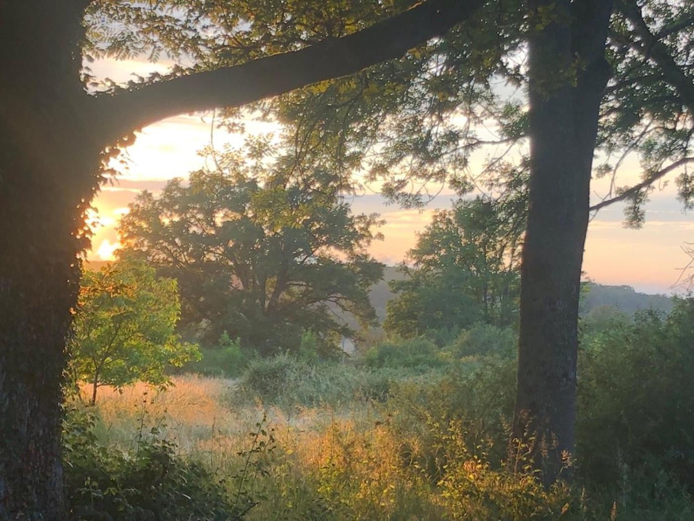 Domaine La Faix, Gite La Chouette Saint-Plaisir Eksteriør bilde