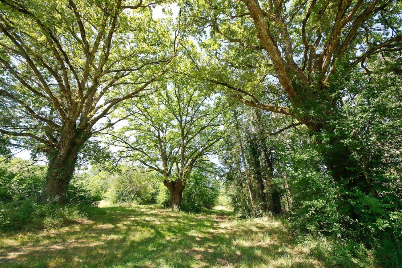 Domaine La Faix, Gite La Chouette Saint-Plaisir Eksteriør bilde
